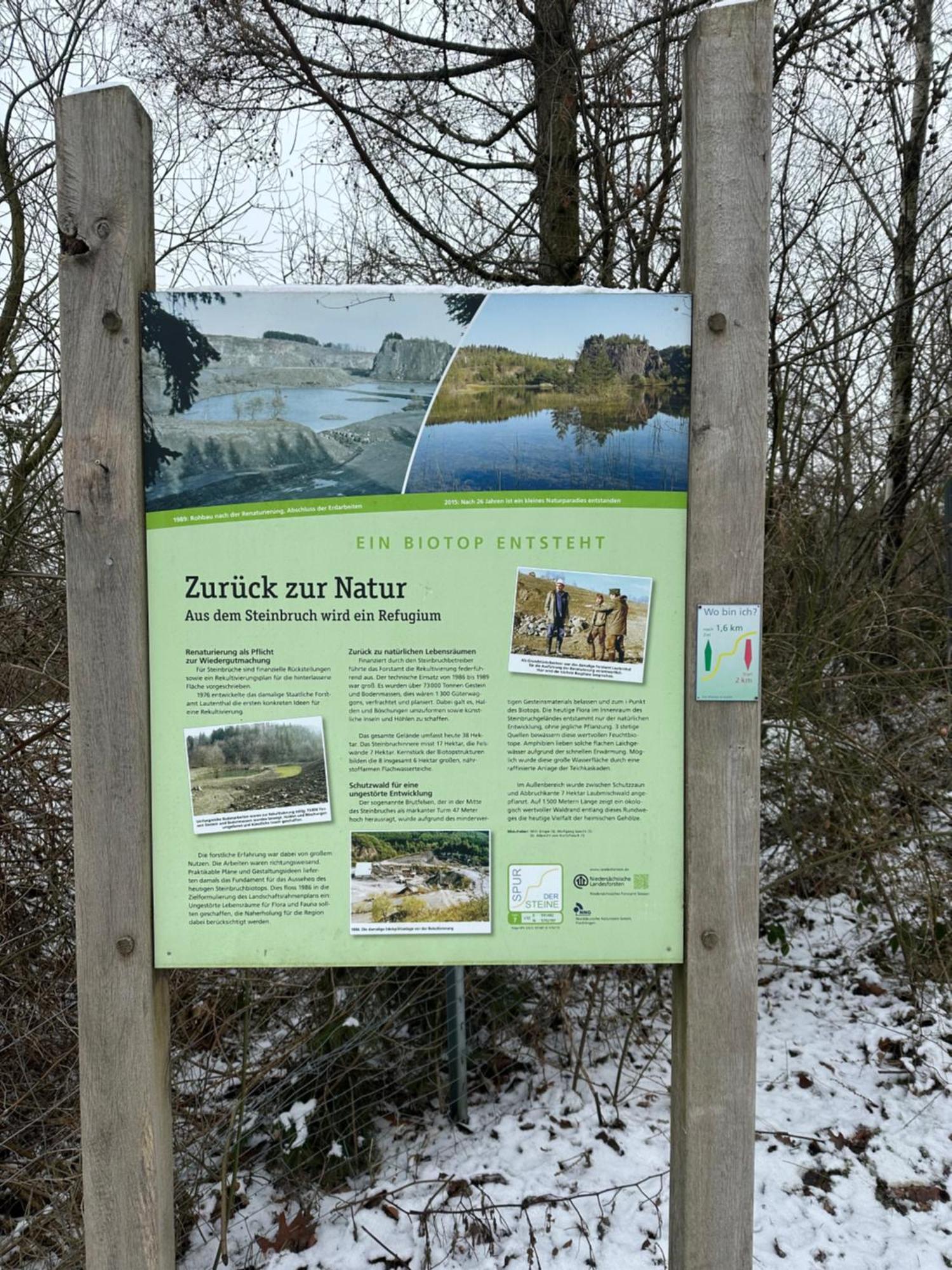 Am Berg * Wolfshagen (Lower-Saxony)